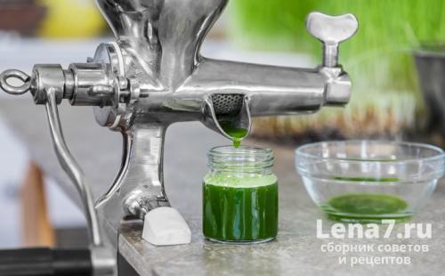 Соковыжималка для томатов электрическая. Шнековые соковыжималки для томатов