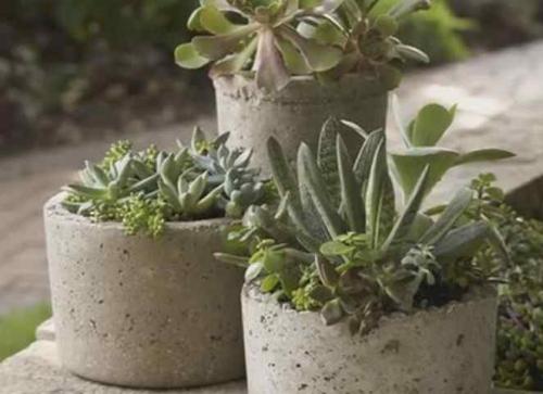 Горшки для цветов своими руками из гипса. Как сделать горшок для цветов своими руками