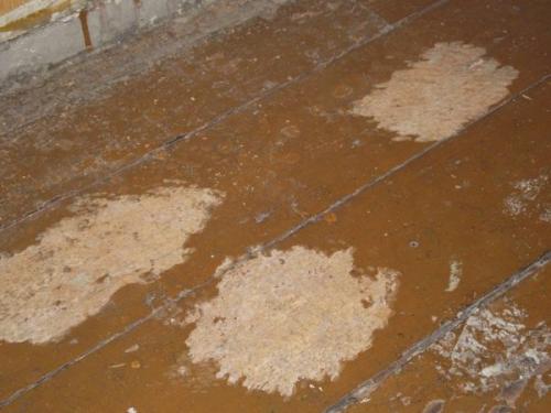 Как правильно подготовить поверхность под настил деревянного пола 07 Как правильно подготовить поверхность под настил деревянного пола 07