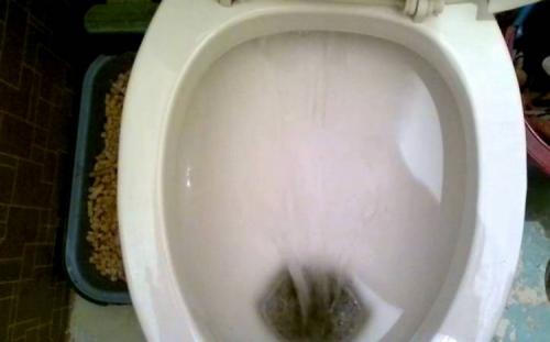 Бачки для унитаза: все виды и их особенности 11 Бачки для унитаза: все виды и их особенности 11