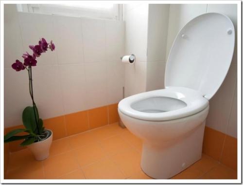 Как часто нужно менять бачок для унитаза. Как часто надо менять унитаз в квартире