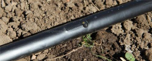 Автополив из бочки самотеком. Капельный полив самотёком: выбор оборудования и монтаж