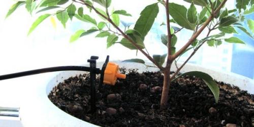 Автополив из бочки самотеком. Капельный полив самотёком: выбор оборудования и монтаж