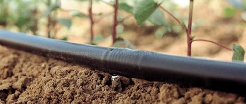 Автополив из бочки самотеком. Капельный полив самотёком: выбор оборудования и монтаж