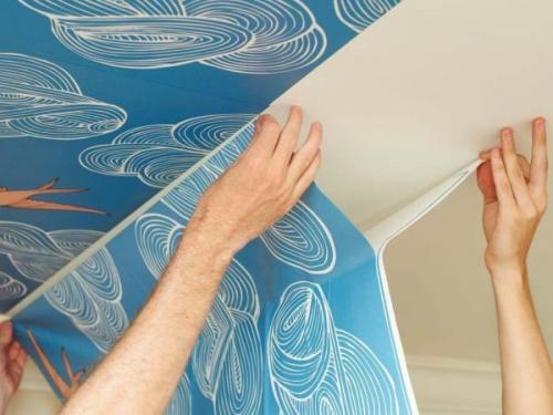 Откуда клеить обои от окна или от двери. Окно, угол или дверь: откуда все-таки начинать поклейку обоев