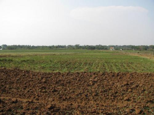 Личное подсобное хозяйство можно ли строить дом и прописаться. Регулирование строительства на землях ЛПХ 06 Личное подсобное хозяйство можно ли строить дом и прописаться. Регулирование строительства на землях ЛПХ 06