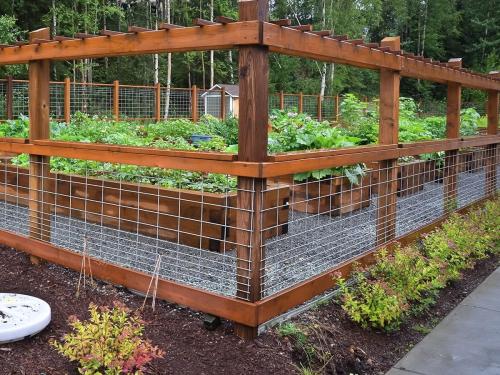 Чем огородить грядки. Как правильно обустроить грядку и посадить овощи без больших затрат