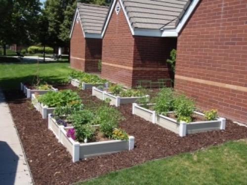 Грядки из подручных материалов своими руками. Расположение грядок на огороде –, как правильно сделать ряды и междурядья 07