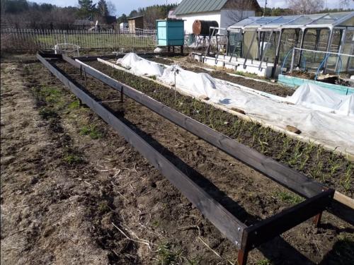 Чем огородить грядки. Как правильно обустроить грядку и посадить овощи без больших затрат