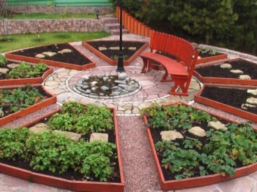 Грядки из подручных материалов своими руками. Расположение грядок на огороде –, как правильно сделать ряды и междурядья 06