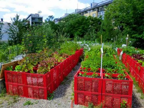 Ограждение для грядок из подручных материалов. Делаем ограждения вокруг грядок из различных материалов