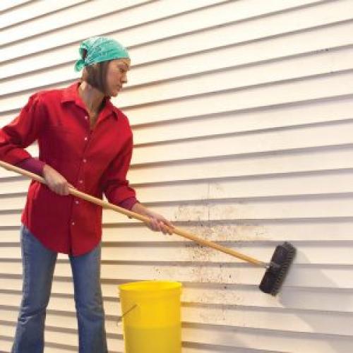 Чем отмыть сайдинг. Как мыть сайдинг на доме правильно