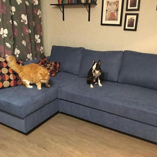 Размеры углового дивана ИКЕА. Гид по выбору углового дивана в ИКЕА