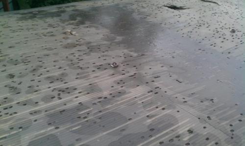 Навес к дому из поликарбоната своими руками. Навес из поликарбоната, примыкающий к дому: материалы, сборка и его монтаж