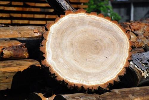 Мебель из сосны в интерьере. Особенности 02 Мебель из сосны в интерьере. Особенности 02