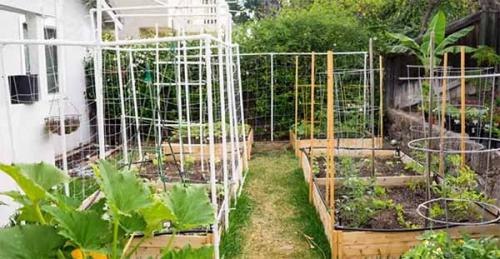 Из чего сделать грядки. Как сделать высокие грядки своими руками.