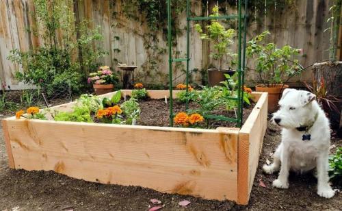 Высокие грядки из металла своими руками. Как сделать высокую грядку на даче своими руками : распространенные технологии