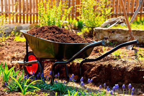 Высокие грядки из металла своими руками. Как сделать высокую грядку на даче своими руками : распространенные технологии