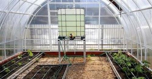 Капельная система полива в теплице. Система капельного полива для теплицы: какую лучше купить и как сделать своими руками?