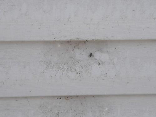 Можно ли мыть сайдинг мойкой высокого давления. Откуда грязь на фасаде