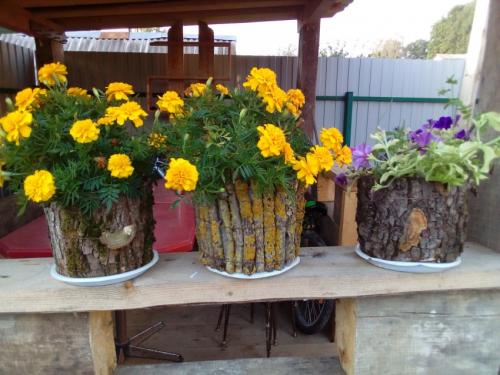 Горшки для цветов своими руками из подручных материалов. Горшки для цветов своими руками — лучшие идеи и рекомендации, как и из чего лучше всего сделать горшки для цветов (85 фото)