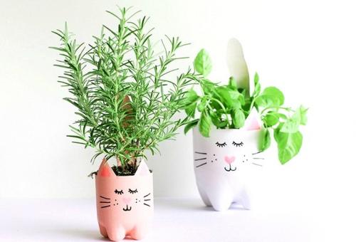 Горшки для цветов своими руками из пластиковых бутылок. Горшки-котики из пластиковых бутылок
