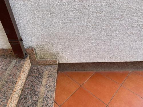 Как отмыть сайдинг от плесени. Виниловый сайдинг: методы очистки 10 Как отмыть сайдинг от плесени. Виниловый сайдинг: методы очистки 10