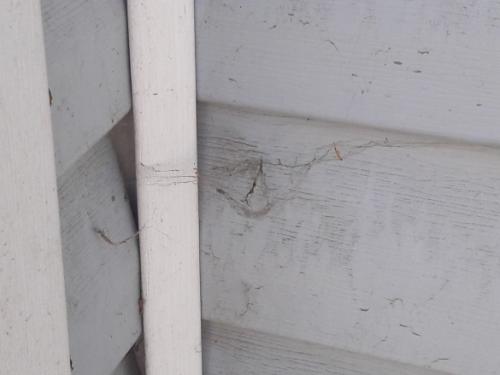 Пятна на сайдинге. Народные способы очистки и рецепты «волшебного зелья»