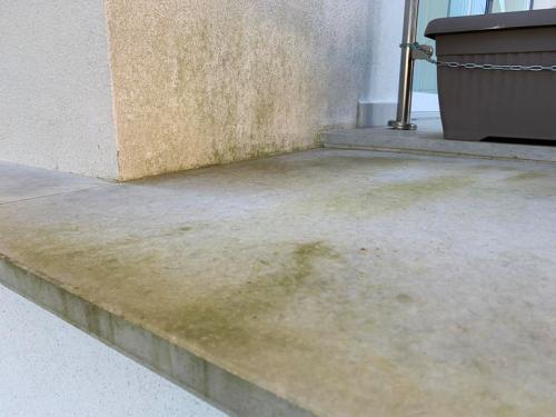 Как отмыть сайдинг от плесени. Виниловый сайдинг: методы очистки 19 Как отмыть сайдинг от плесени. Виниловый сайдинг: методы очистки 19