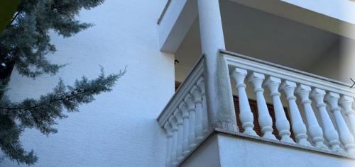 Как отмыть сайдинг от плесени. Виниловый сайдинг: методы очистки 11 Как отмыть сайдинг от плесени. Виниловый сайдинг: методы очистки 11