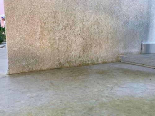 Как отмыть сайдинг от плесени. Виниловый сайдинг: методы очистки 13 Как отмыть сайдинг от плесени. Виниловый сайдинг: методы очистки 13