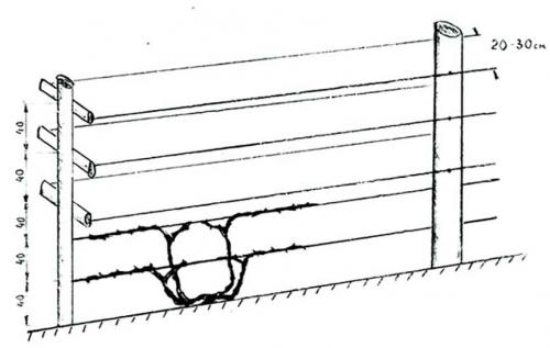 Шпалера для винограда из профильной трубы. Виды шпалер