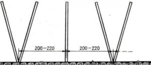 Шпалера для малины из пластиковых труб. Виды шпалер для малины