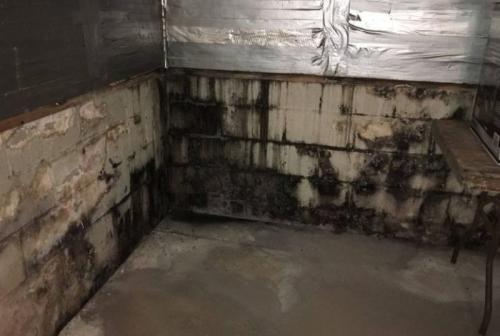 Какие профилактические меры помогут избежать появления сырости в цокольном этаже. Как предотвратить появление сырости?