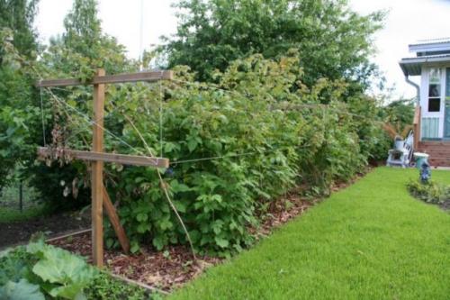 Шпалера для малины чертеж. Опора для малины своими руками
