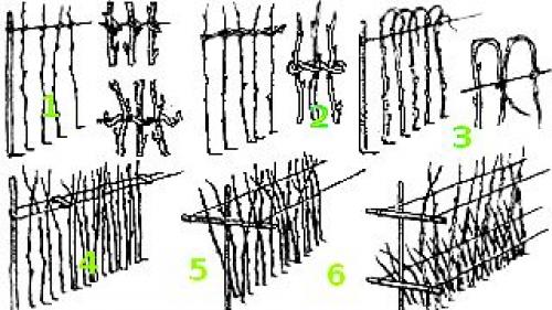 Высота шпалеры для малины. Одноплоскостная и двухплоскостная — сложности выбора