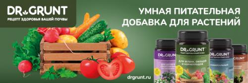 Шпалера для огурцов из пластиковых труб. Как самостоятельно сделать шпалеру для огурцов