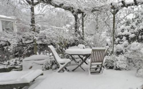 Керамогранит для садовых дорожек: эффективный и эстетичный выбор 11 Керамогранит для садовых дорожек: эффективный и эстетичный выбор 11