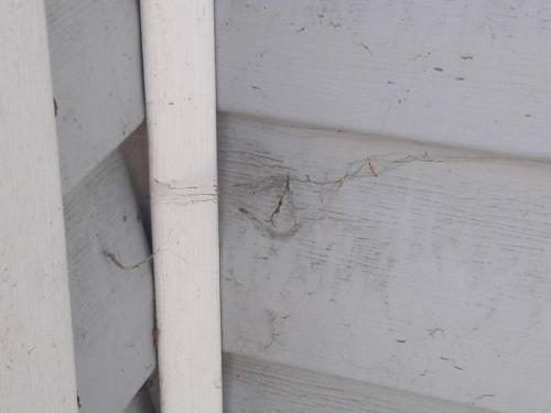 Пятна на сайдинге. Народные способы очистки и рецепты «волшебного зелья»